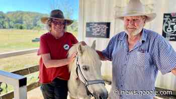 Horseriding changes lives for disabled people at Wynyard riding ... - ABC News