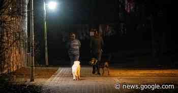 Radfahrer beschweren sich: Hunde und Radler kommen sich auf ... - General-Anzeiger Bonn