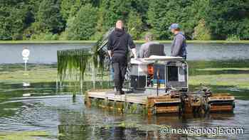 Jahresrückblick 2022: Algen befallen Rantzauer See in Barmstedt - shz.de