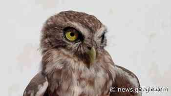 MANDURIA - Rinnovato per il biennio 2023-2024 il servizio di ... - ManduriaOggi