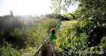 Valentijnswandeling in Destelbergen op 12 februari | Destelbergen - Het Laatste Nieuws