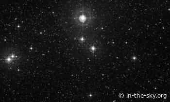 31 Jan 2023 (Today): The Omicron Velorum cluster is well placed
