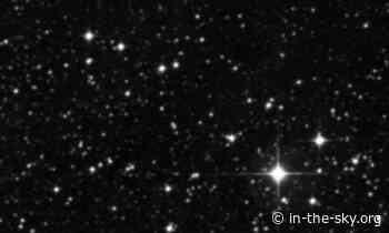 31 Jan 2023 (Today): The cluster IC 2395 is well placed