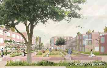 Opmaak masterplan voor Wolfsgracht in Denderleeuw gegund - Bouwkroniek