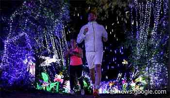 Une course au milieu des illuminations du ZooSafari Thoiry ! - actu.fr