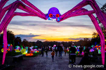 Plongez dans l'univers féérique des Lumières Sauvages au zoo de ... - yvelines-infos