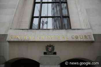 Mentally ill woman decapitated her brother, court told - Chelmsford Weekly News