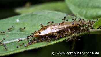 Outlook Add-Ins: 7 Booster für die Teamarbeit