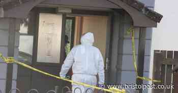 Bristol murder investigation: Tuesday updates as police enquiries continue