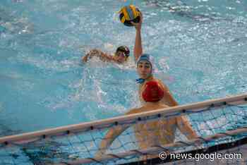 Wasserball: U16-Orcas mit zwei deutlichen Siegen in Ost-Liga - Meetingpoint Potsdam