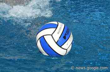 Wasserball - Bundesliga: Auch der Trainer ist überrascht - Stuttgarter Zeitung