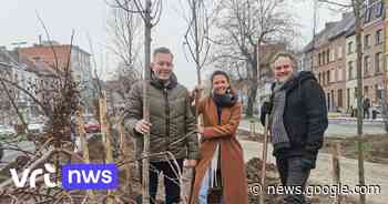 Bijna 600 nieuwe bomen aan vernieuwde vesten in Mechelen ... - VRT.be