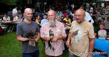 VOC Merelbeke op zoek naar extra middelen: “Alle steun is welkom ... - Het Laatste Nieuws