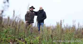Merelbeke wint zilveren boslabel door aanplant 5,8 hectaren bos - Het Laatste Nieuws