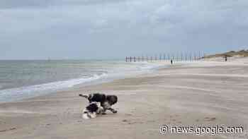 De Lezersfoto - Hondenweer - René de Lange