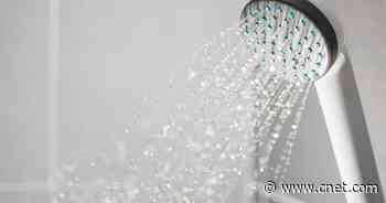 Best Shower Filter     - CNET