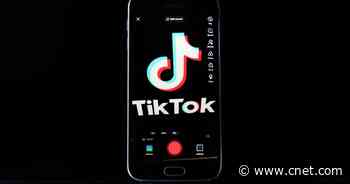 Why Are More US States Banning TikTok?     - CNET