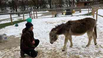 Landesgartenschau 2023 in Fulda: Aus für Futtertüten im Tiergarten - Fuldaer Zeitung