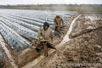 California storms might mean less food shipped to Hawaii