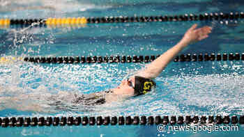 Swim & Dive Wins at Saint John's, Saint Ben's - athletics.blog.gustavus.edu