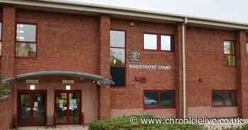 Landlord ordered to pay over £1,800 after County Durham yard found to have vermin risks