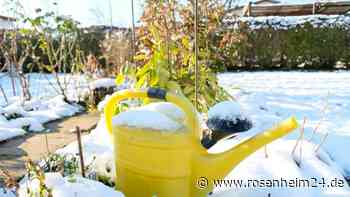Grundsteuer-Erklärung auch für den Garten - Darauf müssen Sie achten
