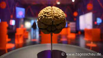 Verschläft Deutschland die KI-Entwicklung?