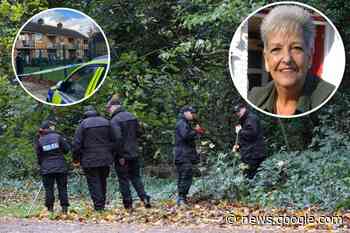 Richard Shaw: Southampton man admits murder of Lorraine Mills - Southern Daily Echo