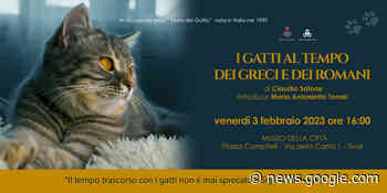 TIVOLI - Festa del Gatto, il Comune organizza una conferenza al ... - Tiburno.tv