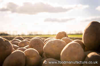 McCain invests £35m in British farming