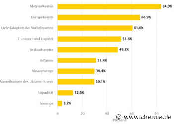 Der Krisenmodus wird für die Kunststoffindustrie zum „Neuen Normal“