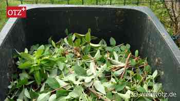 Kundenkarten für Biomüll-Sammelstellen sind im Saale-Holzland beliebt