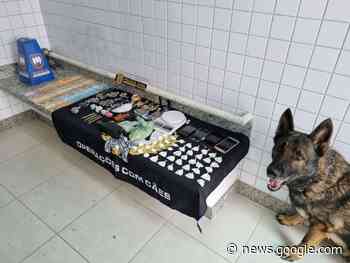 PCES e PMES realizam operação e prendem três pessoas em ... - FolhaOnline.es