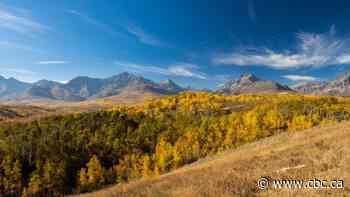 Nature Conservancy of Canada purchases land for protection in southern Alberta