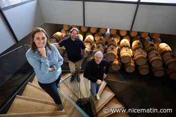 "Etre le rosé de référence": les familles Fayard et Ricard alliées pour le meilleur au Château Sainte-Marguerite à La Londe