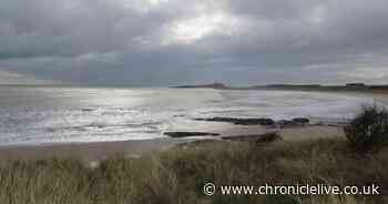 Homes in coastal area of Northumberland could be lost to the sea by 2100, campaigners say