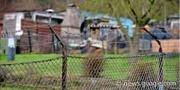 Unbekannte Täter wüten in drei Gartenkolonien im Kreis Hildesheim - www.hildesheimer-allgemeine.de