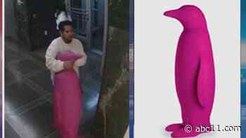 Fuchsia Penguin stolen from boutique hotel in Durham