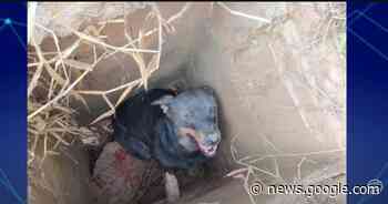 Bueiros abertos no Jardim Videiras preocupam os moradores pelo ... - TV Andradas