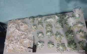 PM prende três e apreende drogas no Jardim Tancredo Neves ... - O Dia