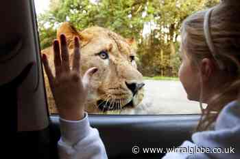Teacher’s strike: Knowsley Safari offers free tickets for children