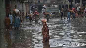 Tax the rich: A wealth tax could fund better transport and weather ... - Euronews