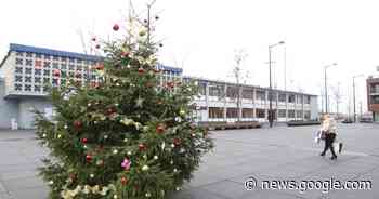 Kerstboomophaling in Keerbergen op 16 januari | Keerbergen | hln.be - Het Laatste Nieuws