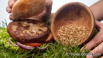 Insekten im Essen ab sofort erlaubt – was Hersteller jetzt dürfen - echo24.de