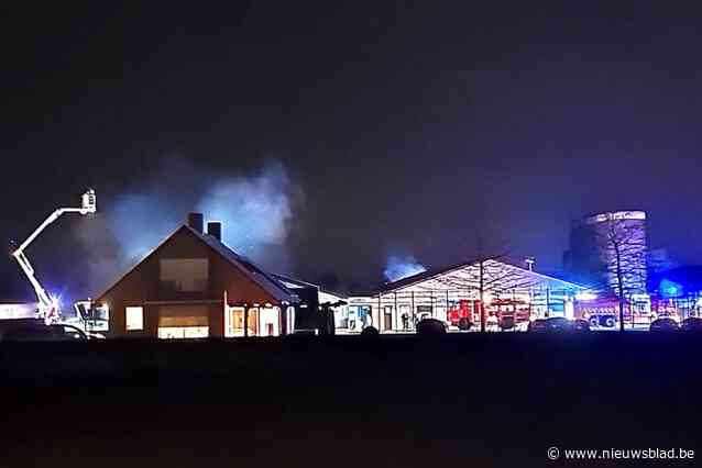 Boer Christophe ondanks brandwonden daags na stalbrand al weer aan het werk: “Zijn overall stond in brand maar hij bleef koelbloedig”