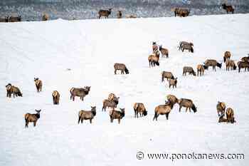 Nature Conservancy of Canada purchases land for protection in southern Alberta