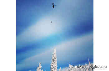 Fernie SAR secure skier with spinal injuries | Elk Valley, Fernie - E-Know.ca