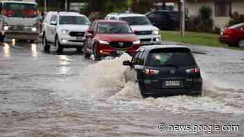 'Heartless': Auckland Transport wardens ticket cars in flood-stricken ... - Stuff