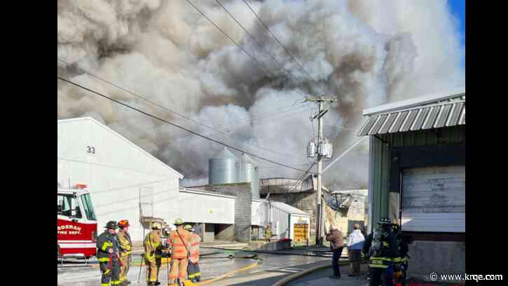 100,000 chickens killed in fire at one of country's top egg-producers