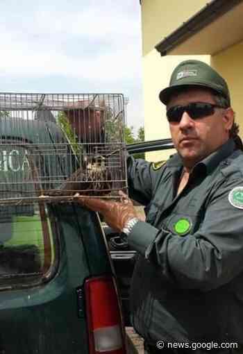 Nuove guardie ecologiche - Crema News